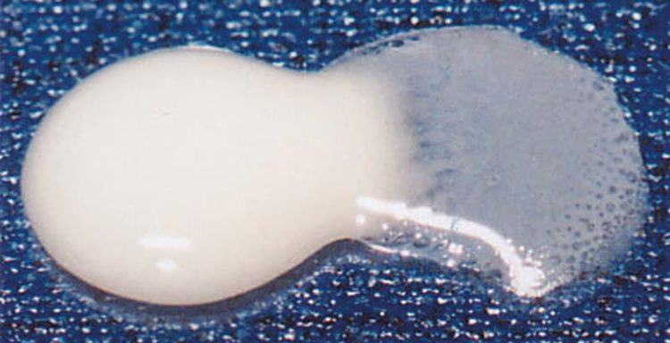 Ergebnis des Hydrophil Tests von ACTIVA Zahnmaterial