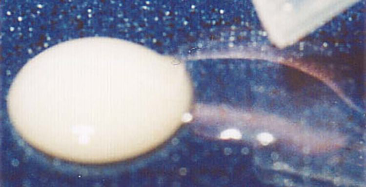 Bild 1 der Hydrophil Tests von ACTIVA Zahnmaterial